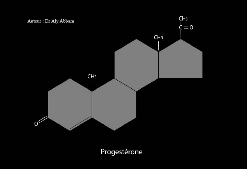 Comparaison entre la structure chimique de la progestérone, testostérone et estradiol ; il s'agit des trois principales hormones sexuels