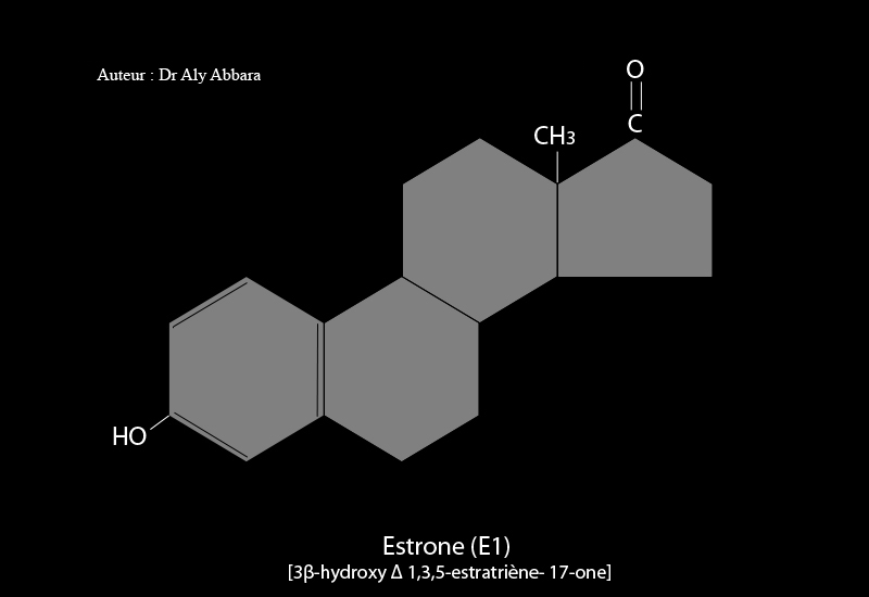 2-hydroxy-estrone (2-hydroxy-œstrone) - dérivé du noyau d'estrane