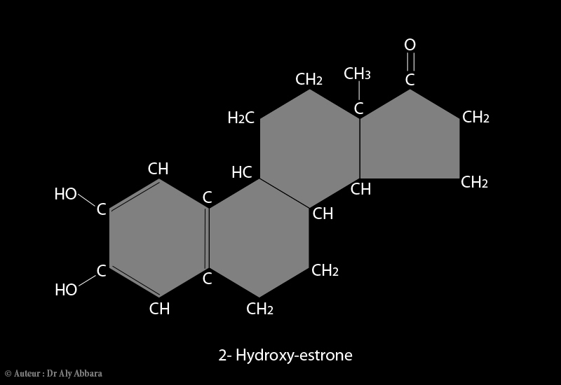 2-hydroxy-estrone (2-hydroxy-œstrone) - dérivé du noyau d'estrane