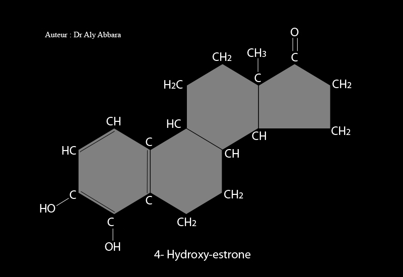 4-hydroxy-estrone (4-hydroxy-œstrone) - dérivé du noyau d'estrane