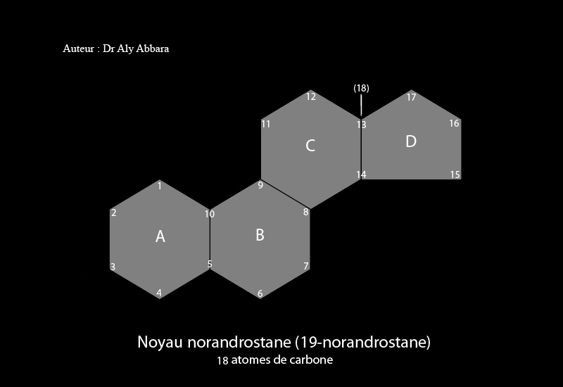 Noyau norandrostane (19-norandrostane)