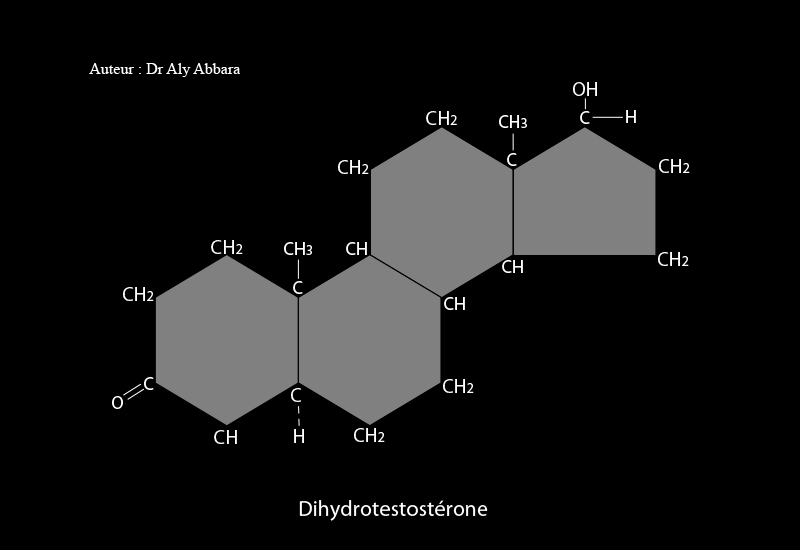 Dihydrotestostérone - dérivé du noyau androstane