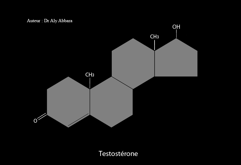 Testostérone - dérivé du noyau androstane