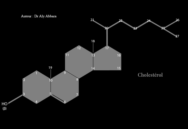 Cholestérol - Structure chimique